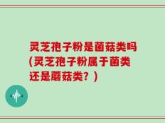 灵芝孢子粉是菌菇类吗(灵芝孢子粉属于菌类还是蘑菇类？)