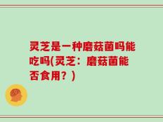 灵芝是一种磨菇菌吗能吃吗(灵芝：磨菇菌能否食用？)