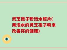 灵芝孢子粉泡水照片(用泡水的灵芝孢子粉来改善你的健康)