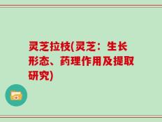 灵芝拉枝(灵芝：生长形态、药理作用及提取研究)