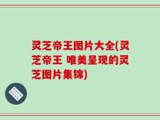 灵芝帝王图片大全(灵芝帝王 唯美呈现的灵芝图片集锦)