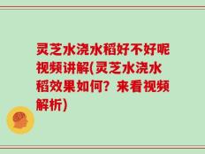 灵芝水浇水稻好不好呢视频讲解(灵芝水浇水稻效果如何？来看视频解析)