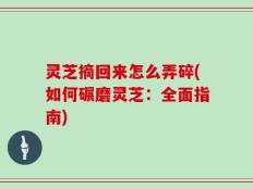 灵芝摘回来怎么弄碎(如何碾磨灵芝：全面指南)