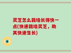 灵芝怎么栽培长得快一点(快速栽培灵芝，助其快速生长)