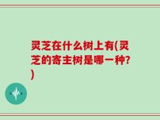 灵芝在什么树上有(灵芝的寄主树是哪一种？)