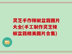 灵芝手作辣椒盆栽图片大全(手工制作灵芝辣椒盆栽精美图片合集)