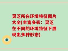 灵芝所在环境特征图片大全(丰富多彩：灵芝在不同的环境特征下展现出多种形态)