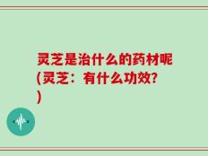 灵芝是治什么的药材呢(灵芝：有什么功效？)