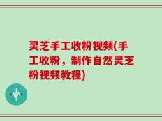 灵芝手工收粉视频(手工收粉，制作自然灵芝粉视频教程)