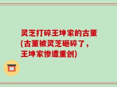 灵芝打碎王坤家的古董(古董被灵芝砸碎了，王坤家惨遭重创)