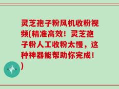 灵芝孢子粉风机收粉视频(精准高效！灵芝孢子粉人工收粉太慢，这种神器能帮助你完成！)