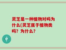 灵芝是一种植物对吗为什么(灵芝属于植物类吗？为什么？