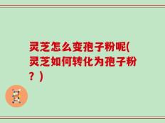 灵芝怎么变孢子粉呢(灵芝如何转化为孢子粉？)