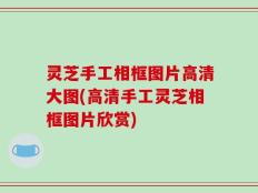 灵芝手工相框图片高清大图(高清手工灵芝相框图片欣赏)