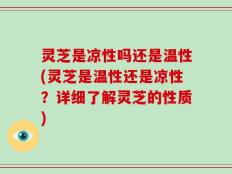 灵芝是凉性吗还是温性(灵芝是温性还是凉性？详细了解灵芝的性质)