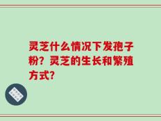 灵芝什么情况下发孢子粉？灵芝的生长和繁殖方式？