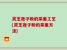 灵芝孢子粉的采集工艺(灵芝孢子粉的采集方法)