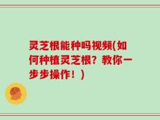 灵芝根能种吗视频(如何种植灵芝根？教你一步步操作！)