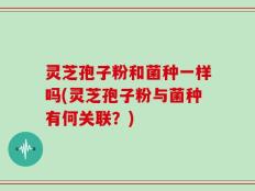 灵芝孢子粉和菌种一样吗(灵芝孢子粉与菌种有何关联？)
