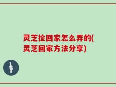 灵芝捡回家怎么弄的(灵芝回家方法分享)