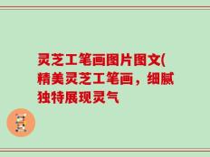 灵芝工笔画图片图文(精美灵芝工笔画，细腻独特展现灵气
