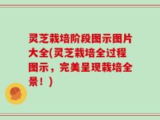灵芝栽培阶段图示图片大全(灵芝栽培全过程图示，完美呈现栽培全景！)