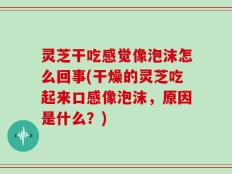 灵芝干吃感觉像泡沫怎么回事(干燥的灵芝吃起来口感像泡沫，原因是什么？)