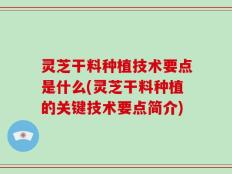 灵芝干料种植技术要点是什么(灵芝干料种植的关键技术要点简介)