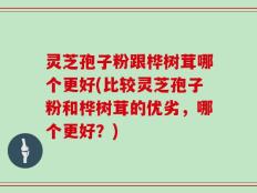 灵芝孢子粉跟桦树茸哪个更好(比较灵芝孢子粉和桦树茸的优劣，哪个更好？)