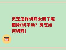 灵芝怎样切开太硬了呢图片(切不动？灵芝如何切开)