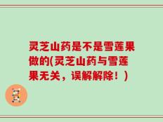 灵芝山药是不是雪莲果做的(灵芝山药与雪莲果无关，误解解除！)