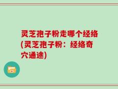 灵芝孢子粉走哪个经络(灵芝孢子粉：经络奇穴通途)