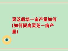 灵芝栽培一亩产量如何(如何提高灵芝一亩产量)