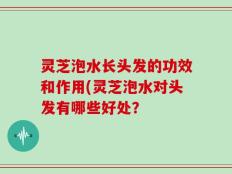灵芝泡水长头发的功效和作用(灵芝泡水对头发有哪些好处？
