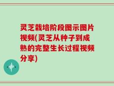 灵芝栽培阶段图示图片视频(灵芝从种子到成熟的完整生长过程视频分享)