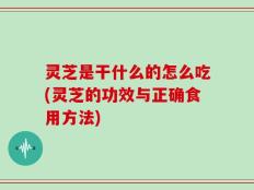 灵芝是干什么的怎么吃(灵芝的功效与正确食用方法)