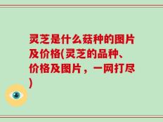 灵芝是什么菇种的图片及价格(灵芝的品种、价格及图片，一网打尽)