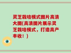 灵芝栽培模式图片高清大图(高清图片展示灵芝栽培模式，打造高产丰收！)