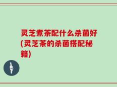 灵芝煮茶配什么杀菌好(灵芝茶的杀菌搭配秘籍)