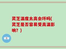 灵芝温度太高会坏吗(灵芝是否容易受高温影响？)