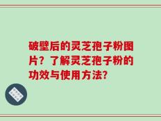 破壁后的灵芝孢子粉图片？了解灵芝孢子粉的功效与使用方法？