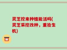 灵芝挖来种植能活吗(灵芝采挖改种，重拾生机)