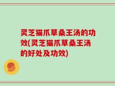 灵芝猫爪草桑王汤的功效(灵芝猫爪草桑王汤的好处及功效)