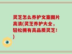 灵芝怎么养护文案图片高清(灵芝养护大全，轻松拥有高品质灵芝！)