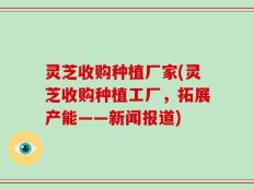 灵芝收购种植厂家(灵芝收购种植工厂，拓展产能——新闻报道)