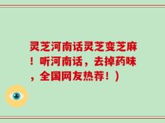 灵芝河南话灵芝变芝麻！听河南话，去掉药味，全国网友热荐！)