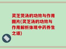 灵芝煲汤的功效与作用图片(灵芝汤的功效与作用解析体现中药养生之道)