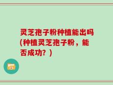 灵芝孢子粉种植能出吗(种植灵芝孢子粉，能否成功？)