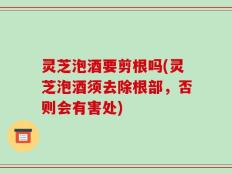 灵芝泡酒要剪根吗(灵芝泡酒须去除根部，否则会有害处)