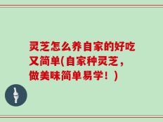 灵芝怎么养自家的好吃又简单(自家种灵芝，做美味简单易学！)